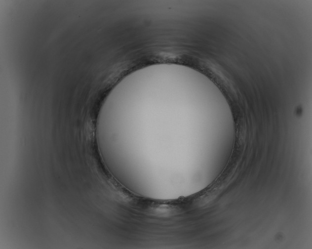 X0000094970467200711291142