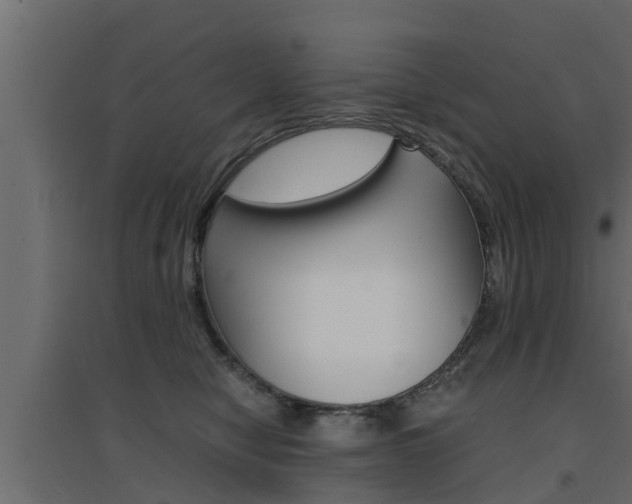 X0000094970470200711291142