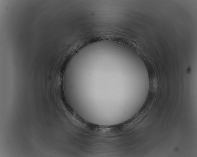 X0000094970472200711291142