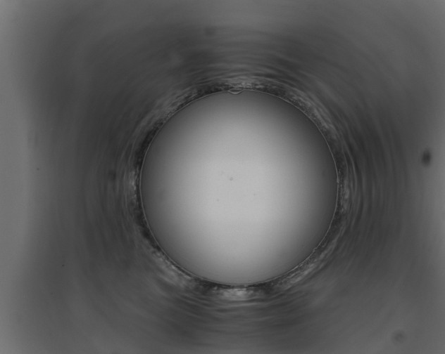 X0000094970473200711291142