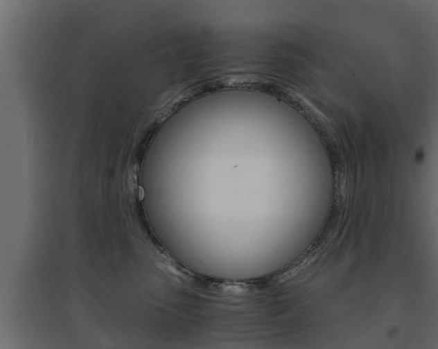 X0000094970475200711291142