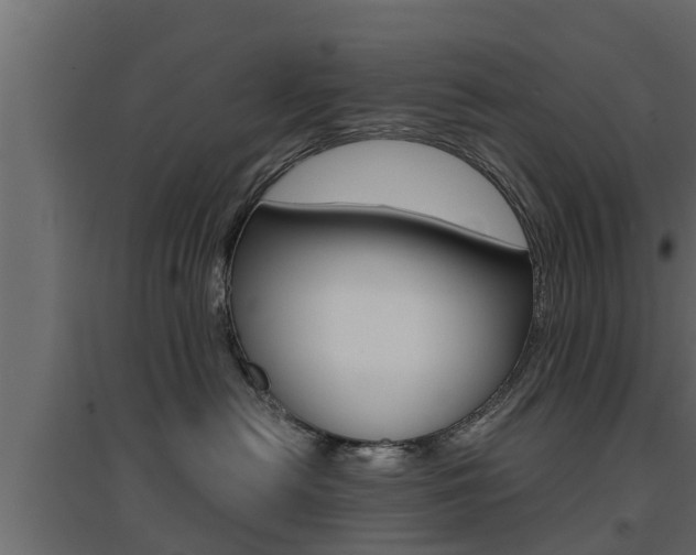 X0000094970478200711291142
