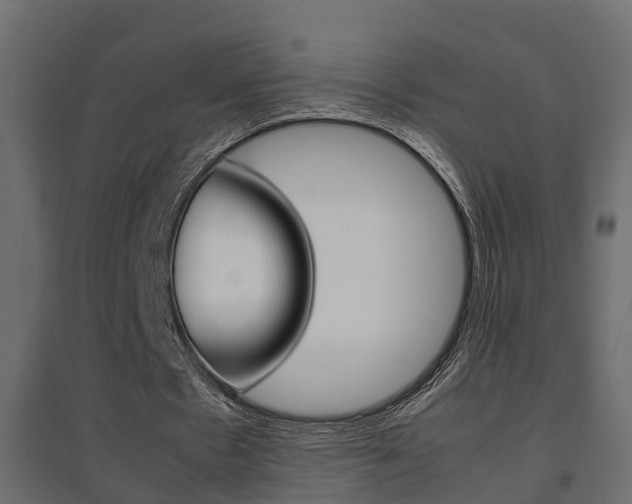 X0000094970481200711291141