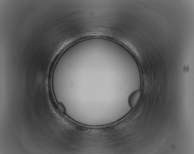 X0000094970482200711291141
