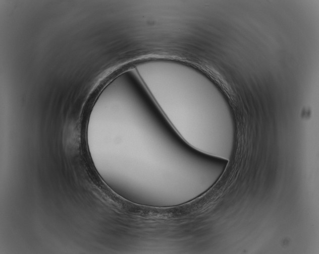 X0000094970484200711291141