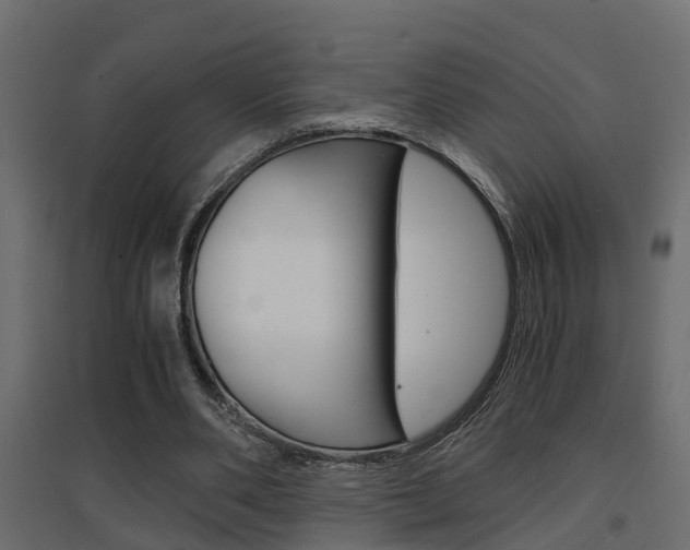 X0000094970486200711291141