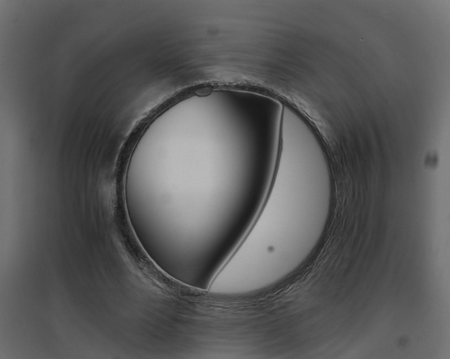 X0000094970488200711291141
