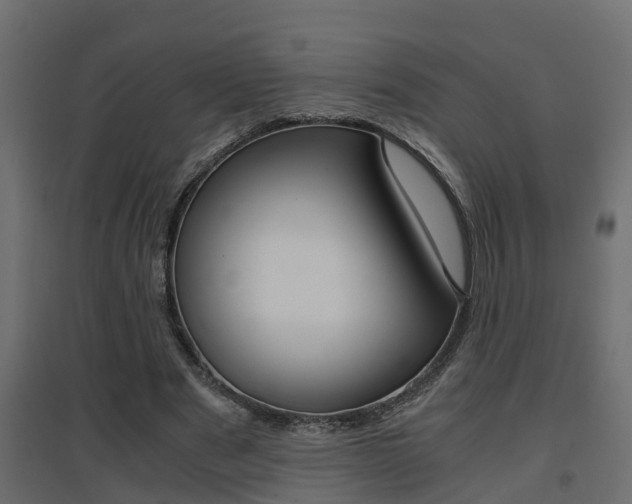 X0000094970489200711291141