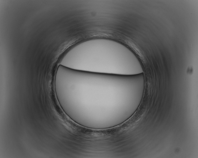 X0000094970490200711291141