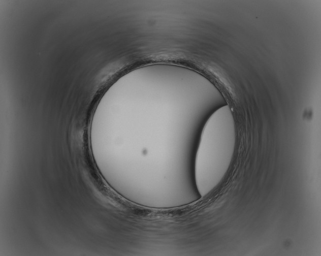 X0000094970491200711291141