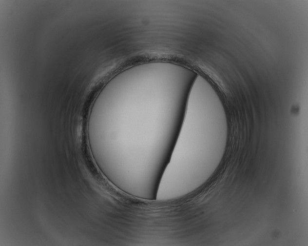 X0000094970494200711291141