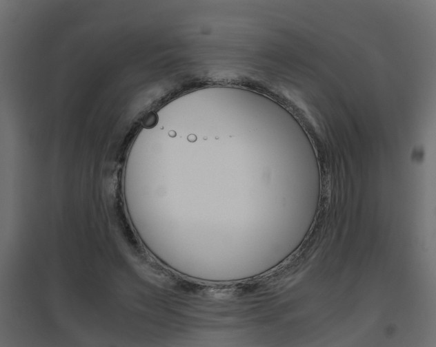 X0000094970495200711291141