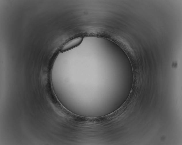 X0000094970496200711291141