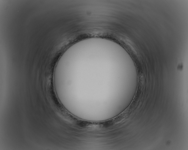 X0000094970499200711291141