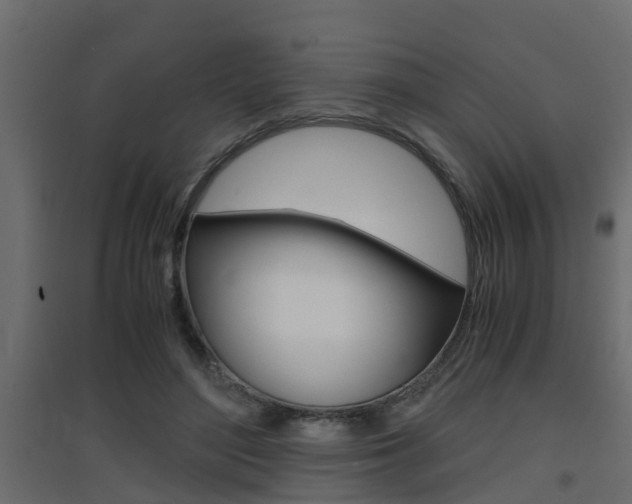 X0000094970500200711291141