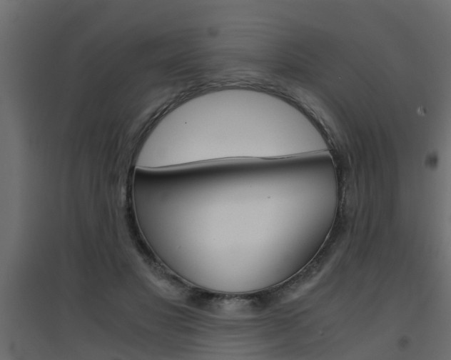 X0000094970501200711291141