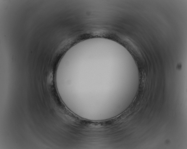 X0000094970502200711291141
