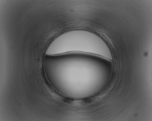X0000094970505200711291141