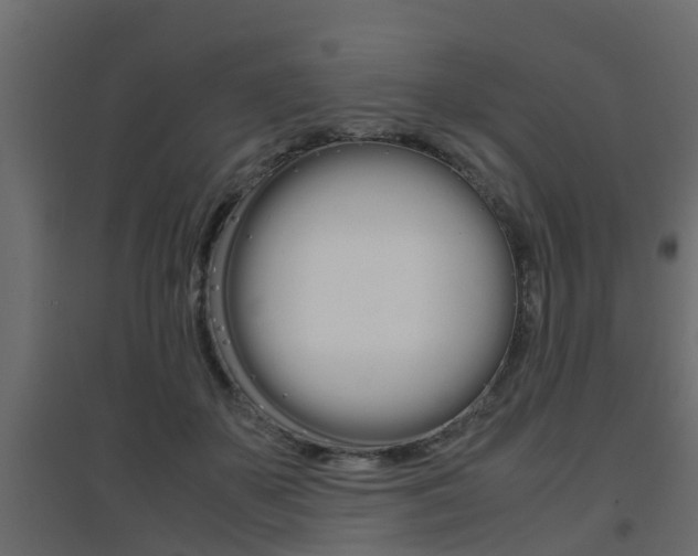 X0000094970507200711291141