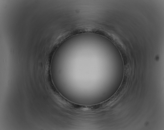 X0000094970509200711291141