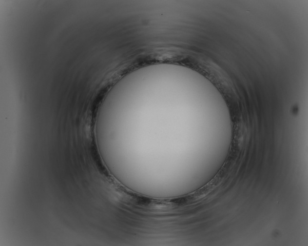 X0000094970510200711291141