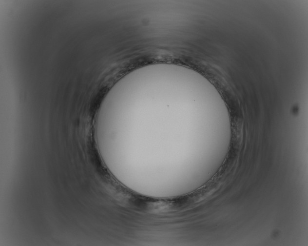 X0000094970511200711291141