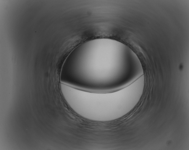 X0000094970517200711291141