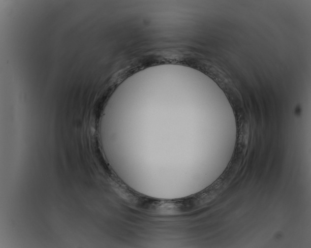 X0000094970518200711291141