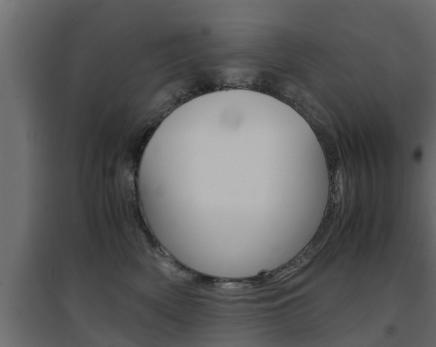 X0000094970522200711291141
