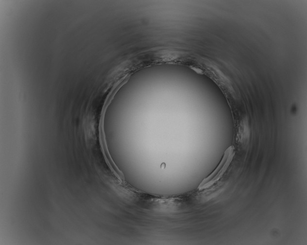 X0000094970524200711291141