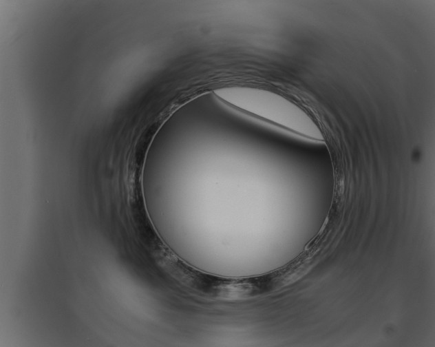 X0000094970525200711291141