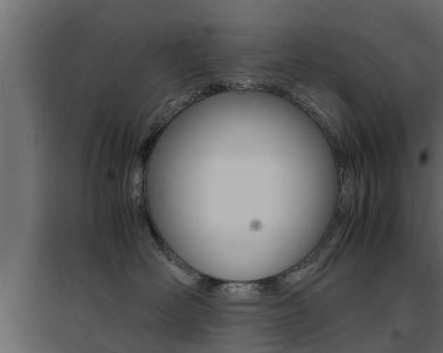 X0000094970526200711291141