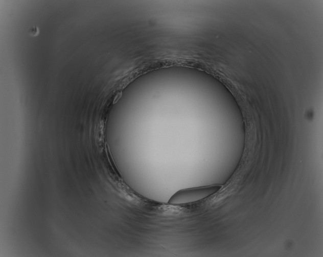 X0000094970528200711291141
