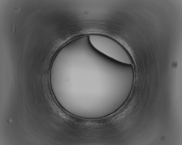 X0000094970529200711291140