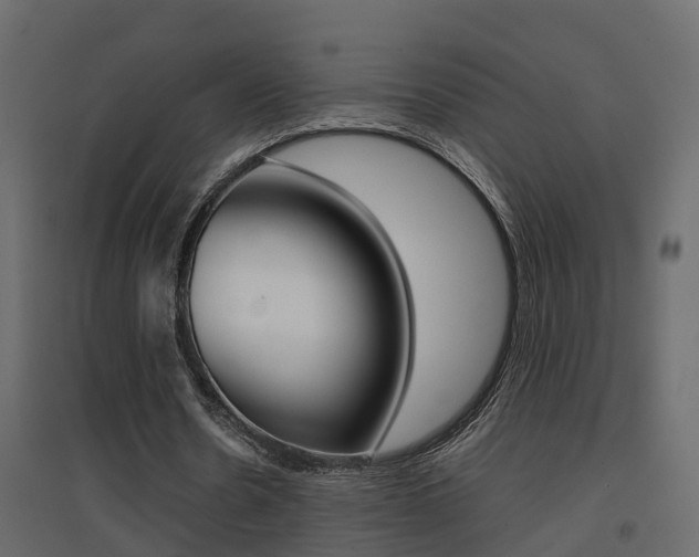 X0000094970530200711291140
