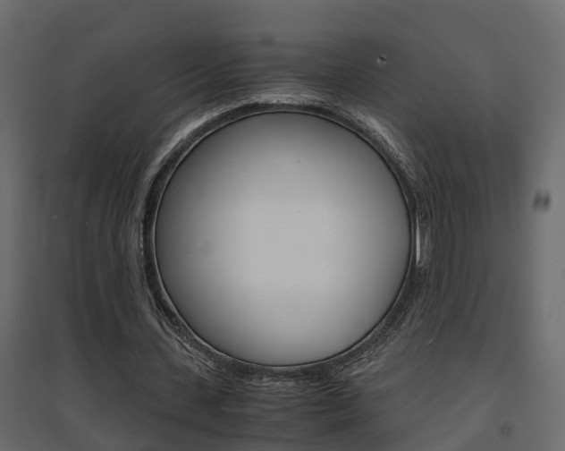 X0000094970531200711291140