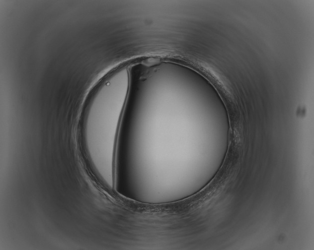 X0000094970532200711291140
