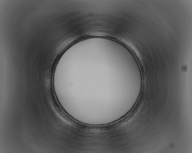 X0000094970533200711291140