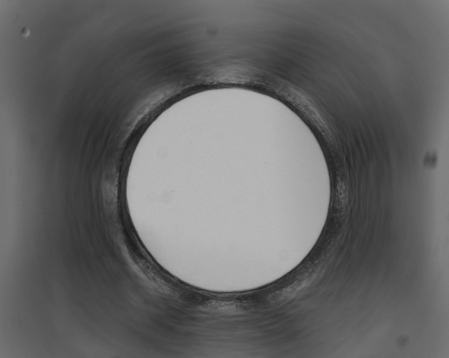 X0000094970534200711291140