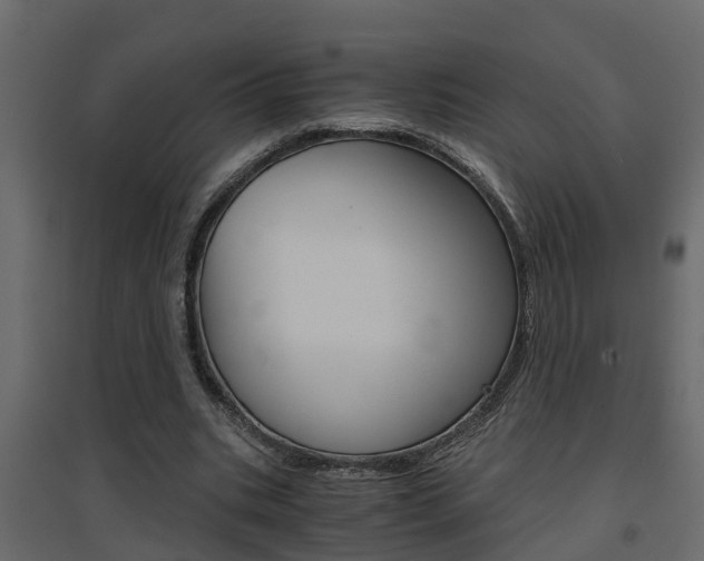 X0000094970535200711291140