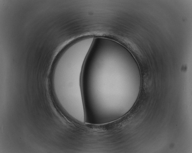 X0000094970536200711291140