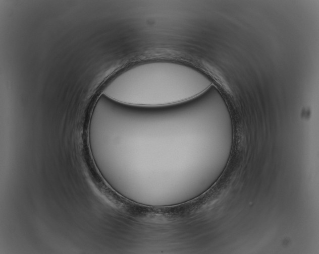 X0000094970538200711291140