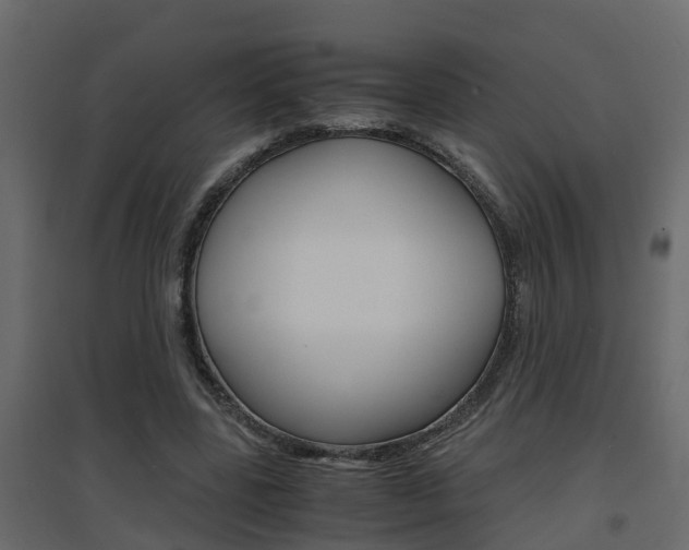 X0000094970539200711291140