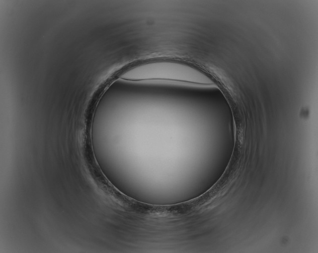 X0000094970540200711291140