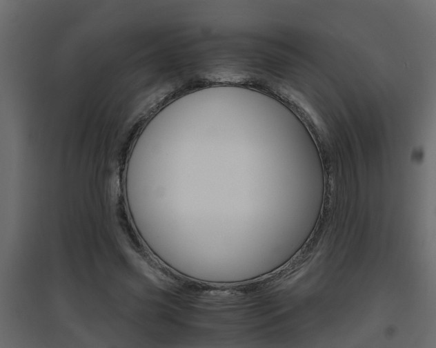 X0000094970541200711291140