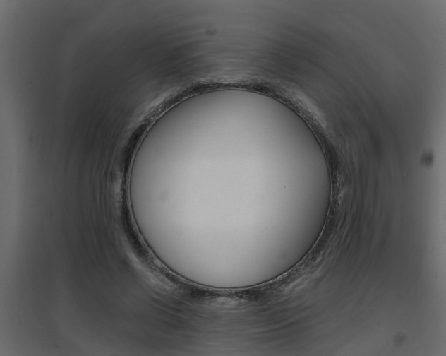 X0000094970542200711291140