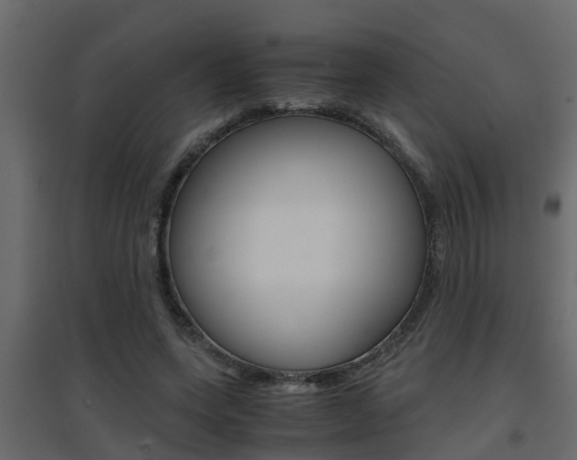 X0000094970543200711291140