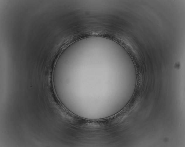 X0000094970545200711291140