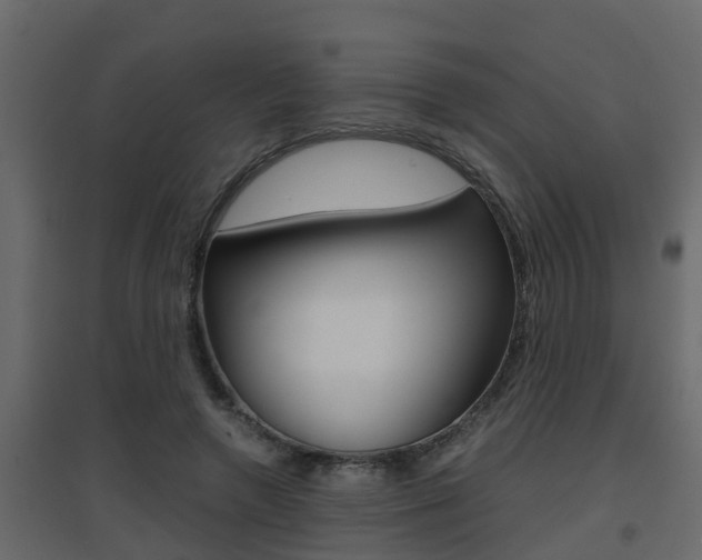 X0000094970546200711291140
