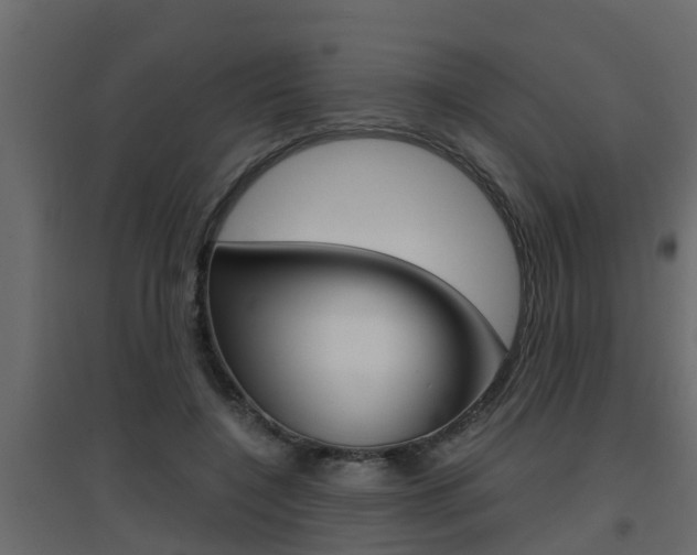 X0000094970548200711291140
